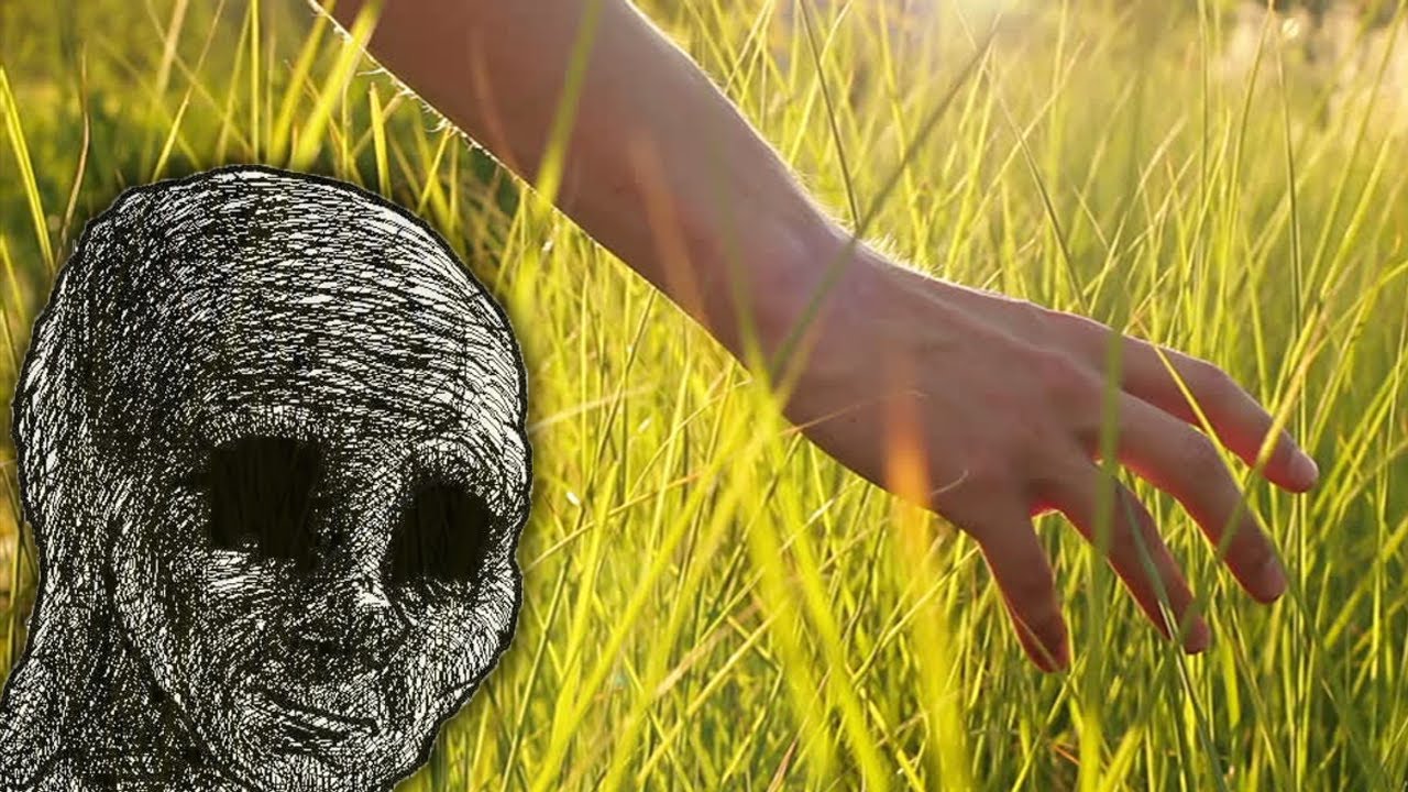 valorant players touching grass : r/ValorantMemes