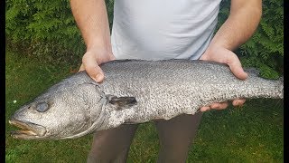 ГОРБЫЛЬ НА ЛУКЕ В КАЗАНЕ ГОРБЫЛЬ НА ЛУКЕ В КАЗАНЕ