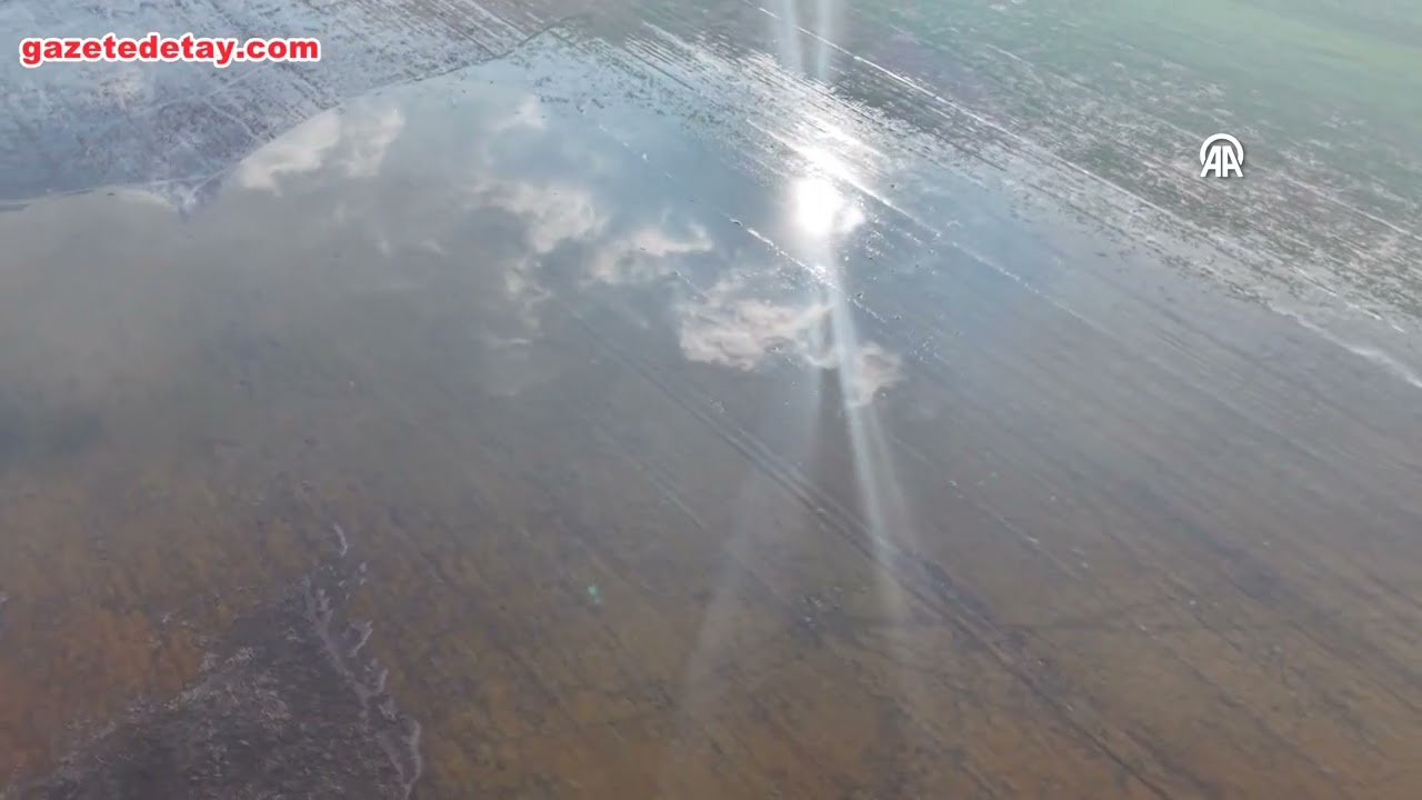 Beş yıl sonra gelen su, Marmara Gölü’nü hayata döndürdü, çiftçiyi umutlandırdı