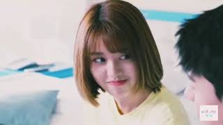 Chinese Multifandom - DANDELIONS