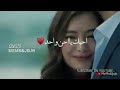 اغنيه احبك والعشق زايد