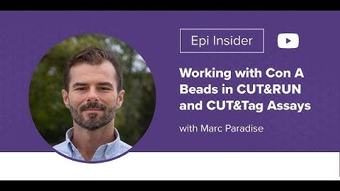 Epi Insider: Working with Con A Beads in CUT&RUN and CUT&Tag Assays