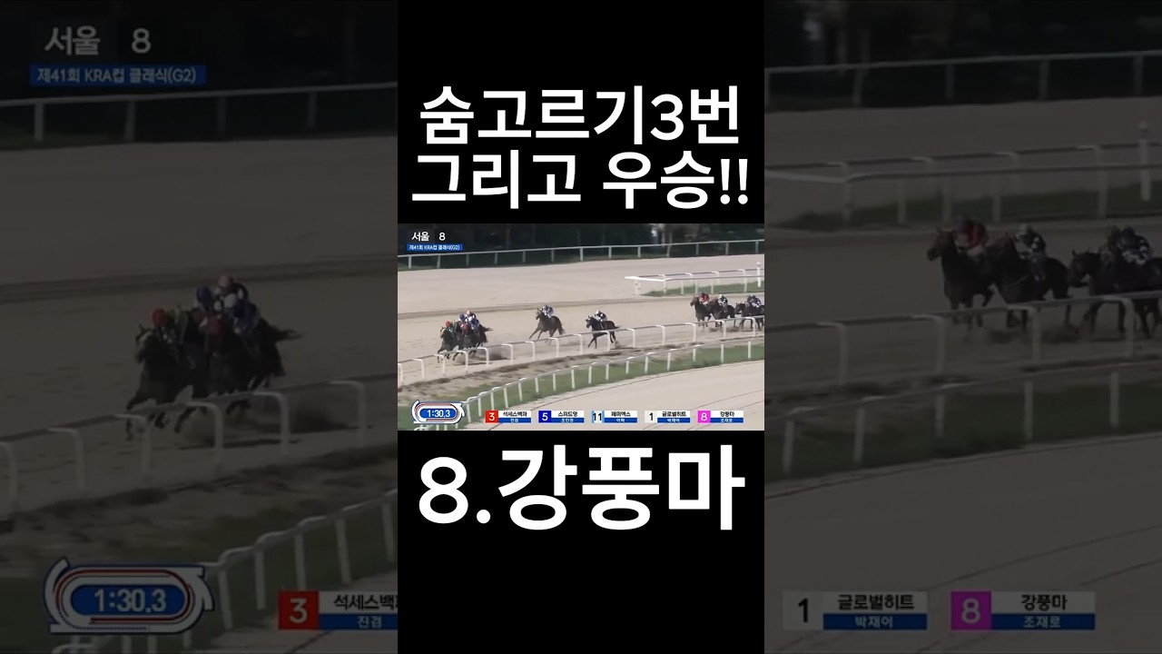 숨고르기3번 그리고 우승!!  #경마  #경마예상  #경마방송  #경마예상방송  #서울경마  #금요경마  #토요경마  #일요경마 #경마장