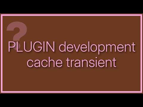 Wordpress: Is get_option() faster than accessing get_transient()? (2 Solutions!!)