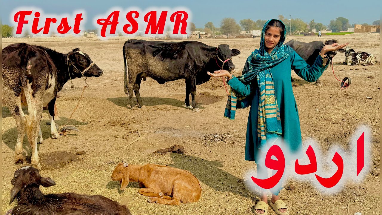 FIRST ASMR URDU & ANIMAL 🦒 