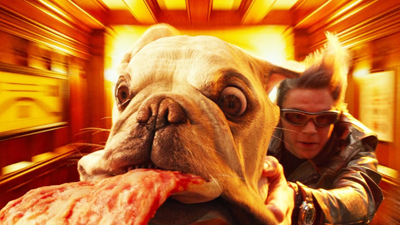 ������������