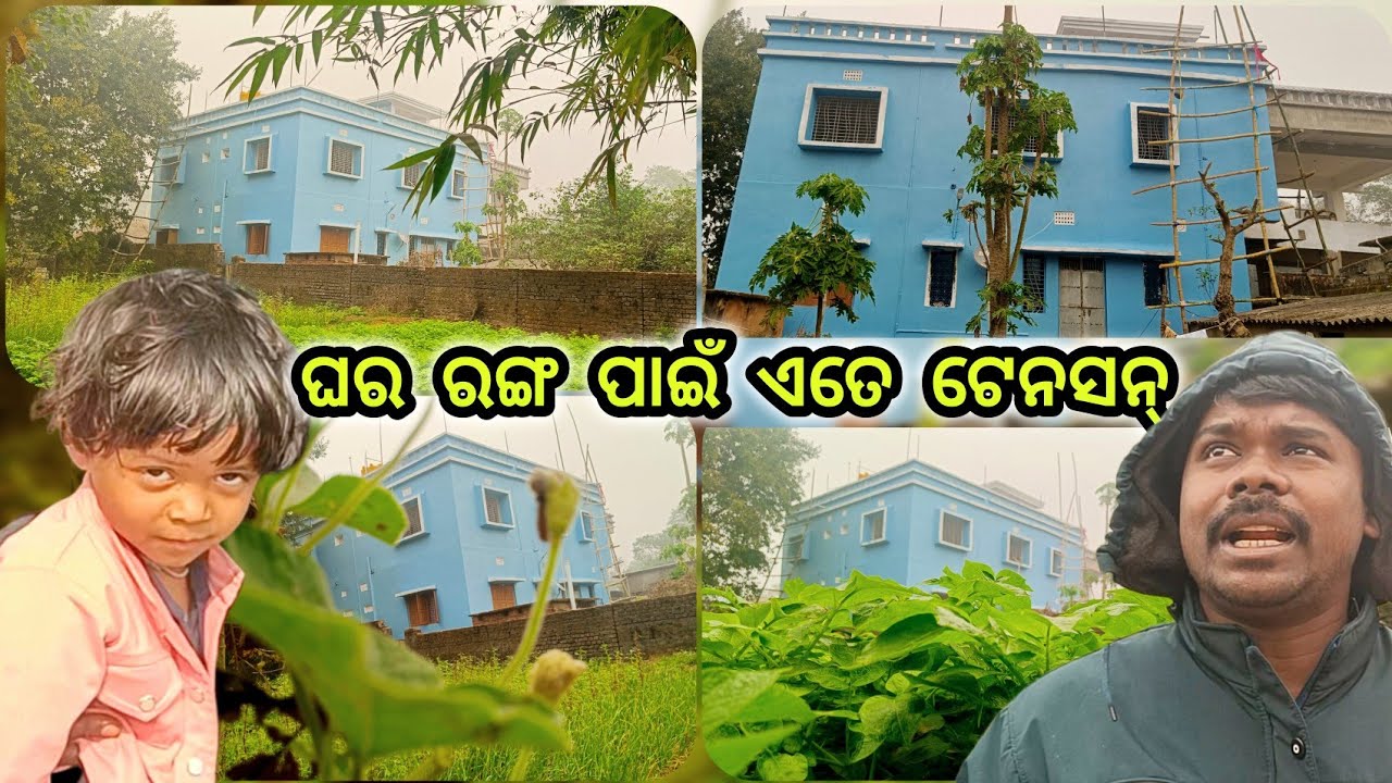 ଘର ରଙ୍ଗ ପାଇଁ ଏତେ ଟେନସନ୍ 🤪 New House Colour Design | Rural Village Life | Official Odisha Village 