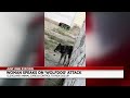 Has the City of Cleveland captured the vicious dog that attacked a woman?