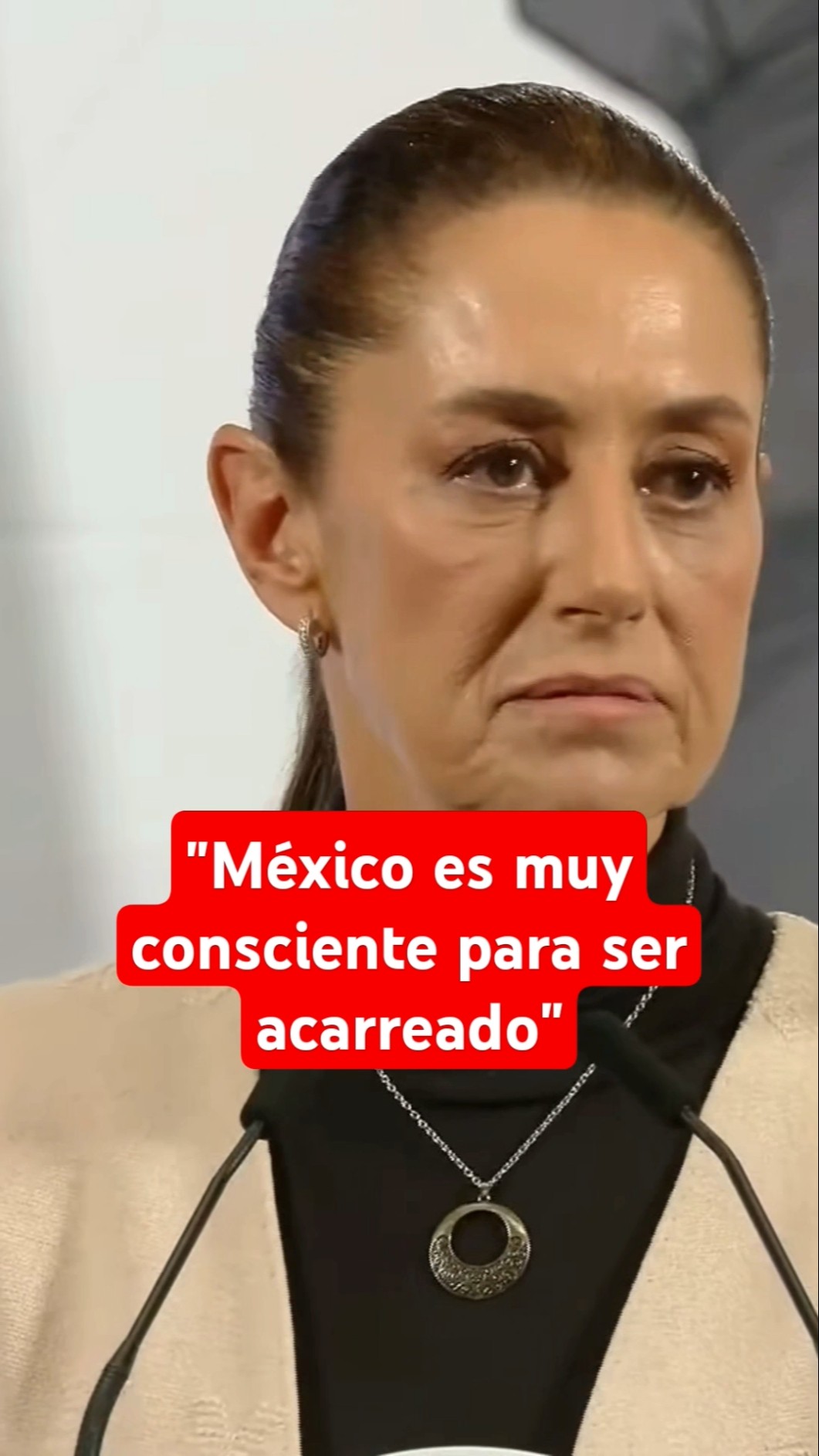 Sheinbaum desmiente acarreo en su festival y asamblea en el Zócalo de la CDMX #shorts