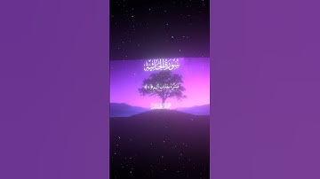 سورة الجاثية|7-9|القارئ:#محمد_اللحيدان #قران #quran #قران_كريم #تلاوة #تلاوة_هادئة #آية#تلاوة_خاشعة