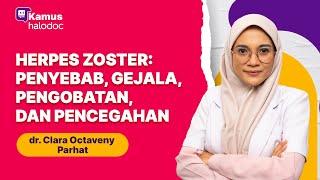 Herpes Zoster Penyebab, Gejala, Pengobatan, Dan Pencegahan