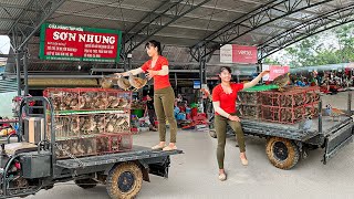 Rewind Timelapse - Harvesting 150 Quails Goes To Countryside Market Sell - Buy 100 Chicks To Raise