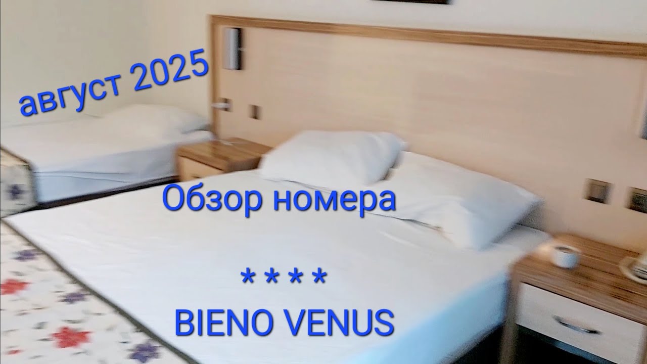 Bieno Venus hotel **** Обзор номера, август 2025