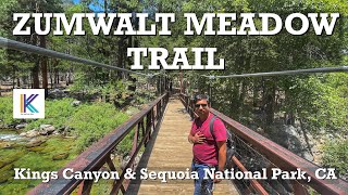ZUMWALT MEADOW TRAIL, Kings Canyon & Sequoia National Park, CA || Kiran Kumar