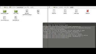 python-ransomware