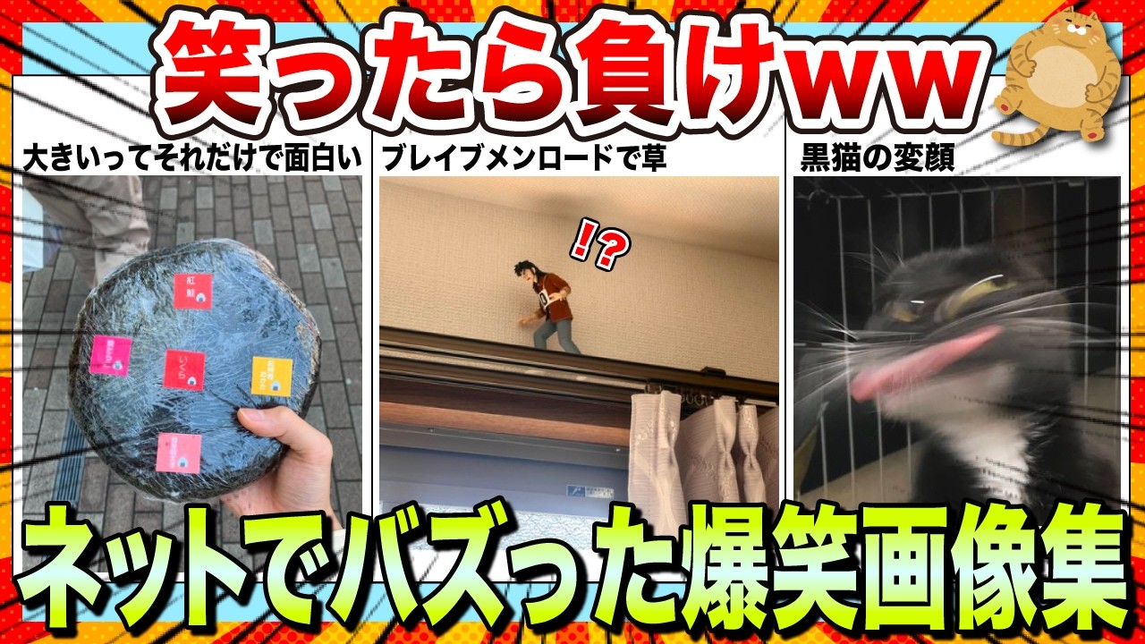【🔥爆笑】落ち込んでる時は笑って元気を出そうwwネットでバズりまくった爆笑画像集www【2ch】【5ch】【ゆっくり解説】【コメ付き】【面白画像】