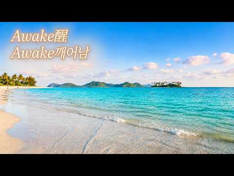 [영중한자막] Awake醒 | 요즘 같은 여름날에 딱 ☀️ 드라이브할 때 듣기 좋은 노래