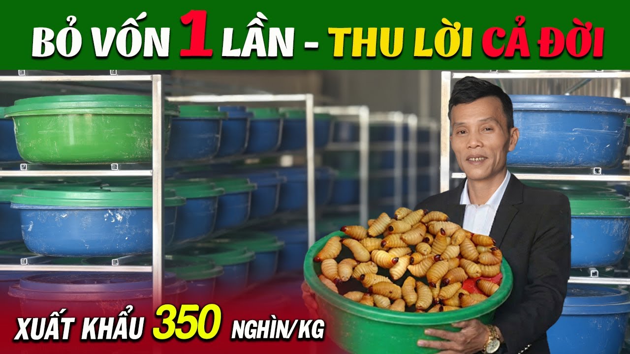 Bỏ Vốn 1 Lần Thu Lời Cả Đời Với Đuông Dừa Thái Lan – Mô Hình Nuôi Nhỏ Mà Tiền Không Nhỏ