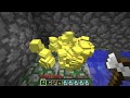 How I got Rich in Minecraft (part 2)