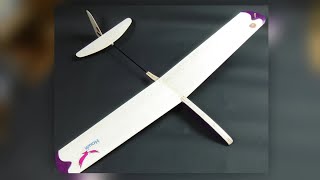 Hiesbök Hawk Micro RC DLG Glider #2 - 60cm 70g Rudder Elevator RC Conversion HLG SAL Hiesbok