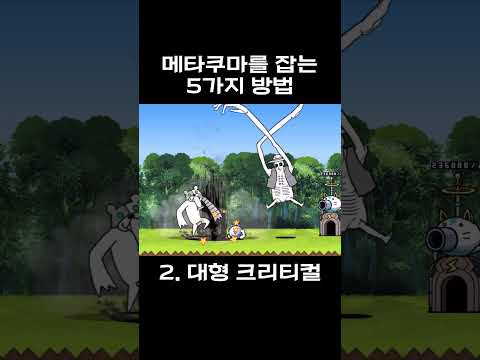 메타쿠마 5가지 공략 방법 / 냥코대전쟁