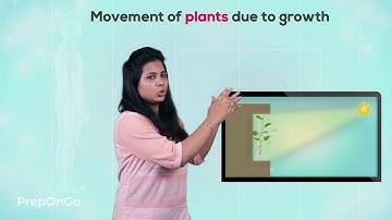 Control and Coordination - 8 | Control and Coordination in plants | Movement due to Growth |Class 10
