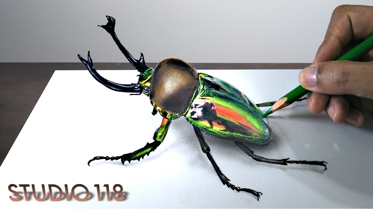 Drawing A Hercules Beetle Drawing Studio 118 Youtube