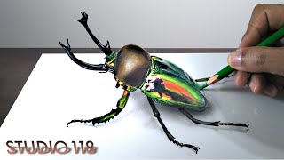 I Tried To Draw A Phalacrognathus Stag Beetle Realistically Youtube