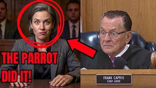 Woman Blames Red Light on Screaming Parrot – Judge Caprio is Left SPEECHLESS