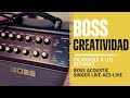 Boss Acoustic Singer Live - Explicación de los botones