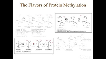 EMERGE Episode 1: Methylproteomics