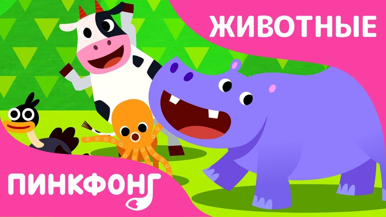 Танцы Животных | Песни про Животных | Пинкфонг Песни для Детей - YouTube