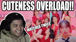 IZ*ONE (아이즈원) - 'Beware' MV REACTION