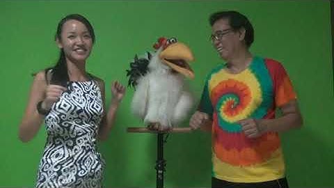 Testing Axtell AI Artificial Intelligence for Animatronics in Mandarin