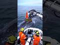 Giant Whale Gets a Spa Day in the Middle of the Ocean 🐋 #short #seaanimal #giantwhale
