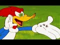 Woody Woodpecker Show | Party Animal | Full Episode | Kids Cartoon | Videos For Kids