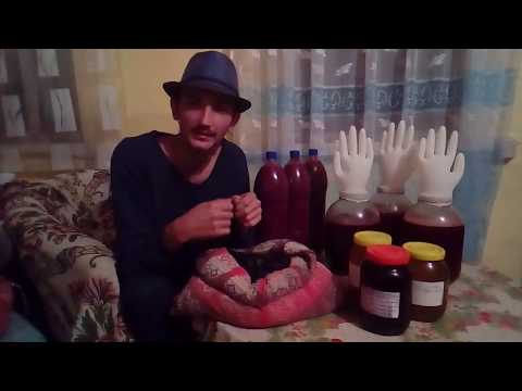 Рецепты из СЛИВЫ. ЧЕРНОСЛИВ. ТКЕМАЛИ. Домашнее ВИНО.