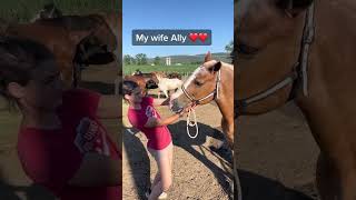 Delilah Was Dropped Off At A Special Draft Horse Sale With Extensive Damage To Her Muzzle