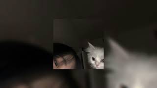 Nao  Bad Blood sped Up