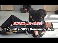 Exquisite gkys demonstration  korean jiujitsu