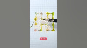 Draw a path in the order of the numbers. #line #colors #quiz #funny