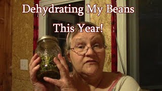 Dehydrating Beans For Winter!
