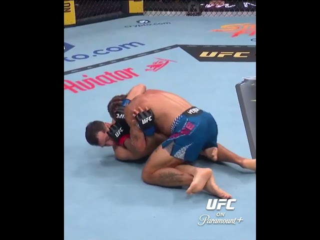 Jab of DOOM #ufc332