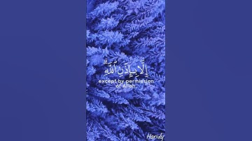ما اصاب من مصيبه - الشيخ رعد الكردي - قرآن كريم