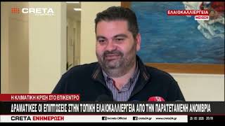 Δραματικές οι επιπτώσεις στην τοπική ελαιοκαλλιέργεια από την παρατεταμένη ανομβρία