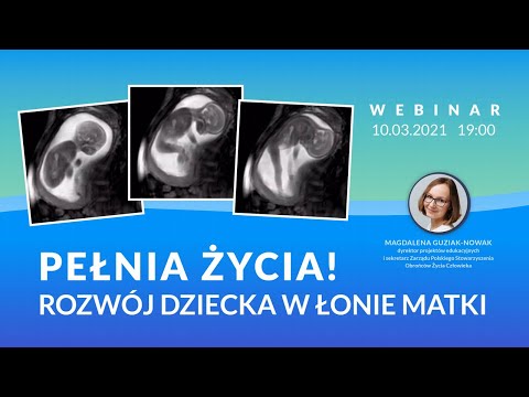 Wideo: Jakie jest inne słowo przejściowe na koniec?