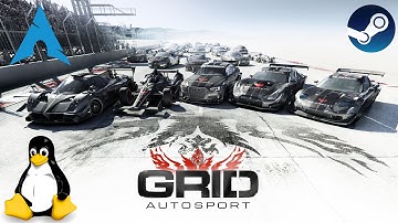 Linux Gaming: Grid Autosport [Native]