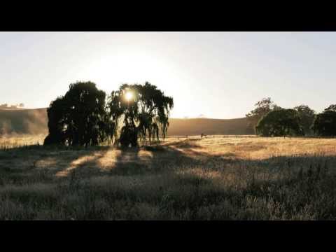 Changing Faces ft. Identified-Reviving Earth (T:Base Remix)