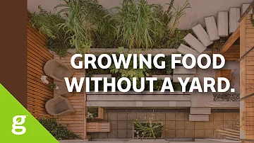 How to grow food when you have no yard