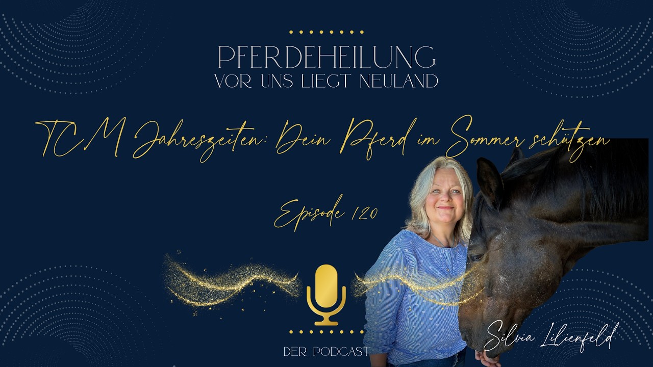 Pferdeheilung - Vor uns liegt Neuland